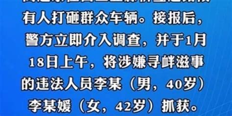 二人超车未果，高速路上打砸他人车辆，三亚警方：行拘十五日罚款1000元 手机新浪网