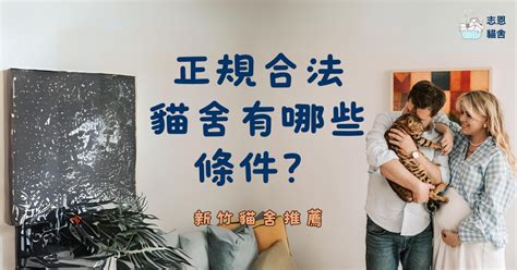 【推薦】正規合法貓舍有哪些條件？－新竹貓舍