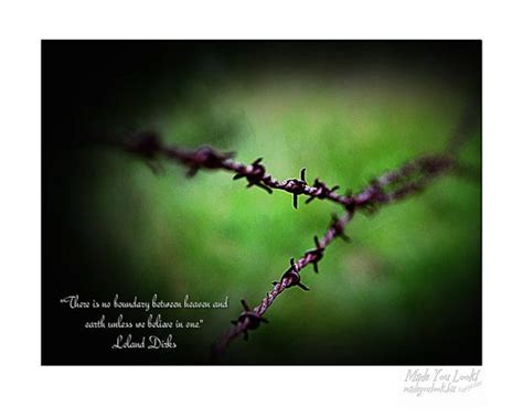 Inspirational Quote Barbed Wire Fence Photograph By Madeyoulookbiz