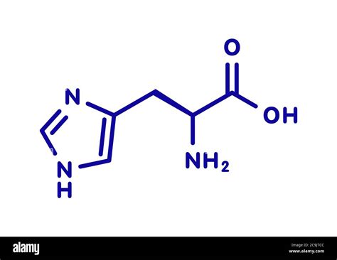 Histidine L Histidine His H Amino Acid Molecule Blue Skeletal