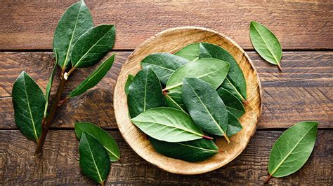 Una hoja de laurel detrás de la puerta el sencillo truco con el que