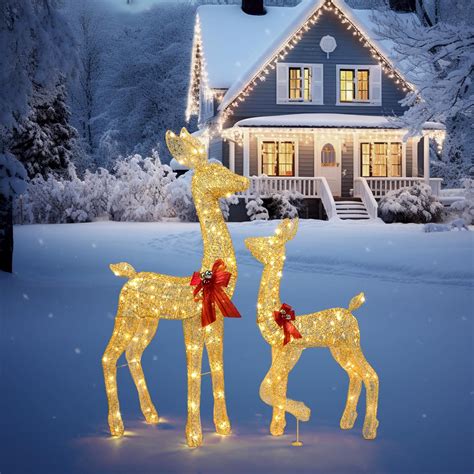 Amazon.com: 2 Piece Christmas Deer Family with Lights, Outdoor ...