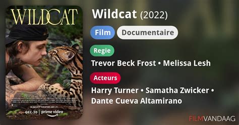 Wildcat Film 2022 FilmVandaag Nl