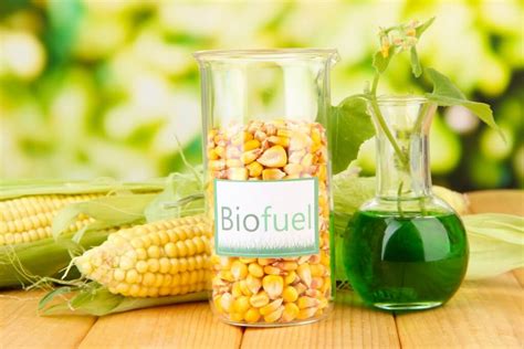 Advantages And Disadvantages Of Biofuels Power Knot