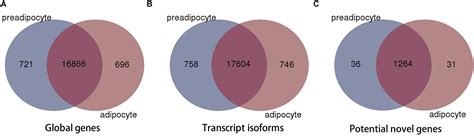 Frontiers Global Transcriptome Analysis During Adipogenic