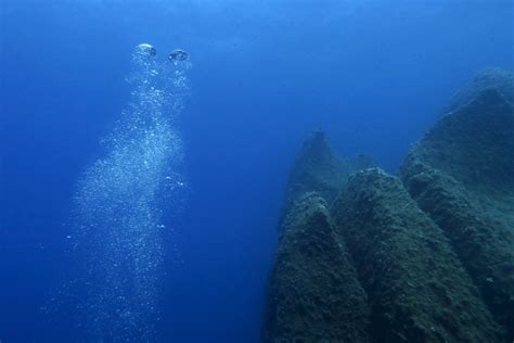 First Manned Expedition To Cook Seamount Scientists Discover New Life