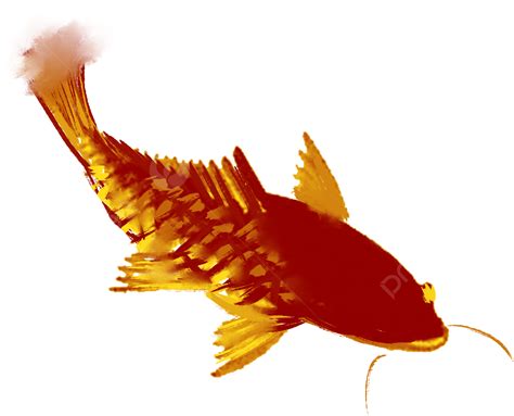 Koi Rojo PNG Carpa Material De Koi Elementos De Koi PNG Imagen Para