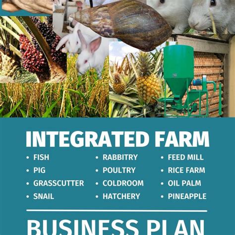 Livestock Farm Business Plan Felixabeshop