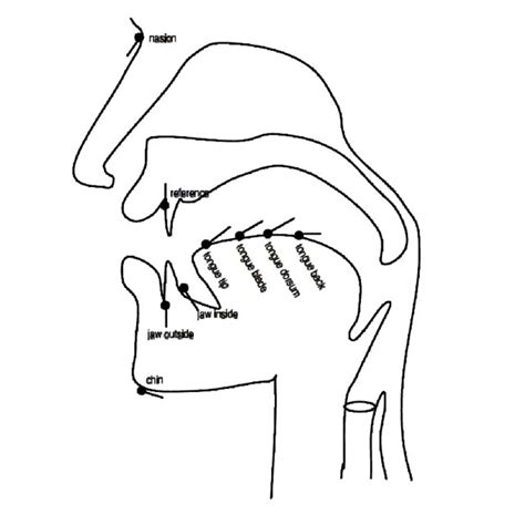 And Figure 6 17 Present Jaw Height Differences At Vowel V1 Target Download Scientific Diagram