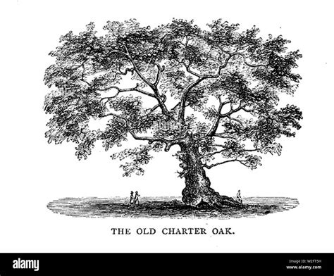 The Charter Oak Hi Res Stock Photography And Images Alamy