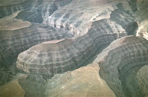 Monocline | Define Monocline at Dictionary.com