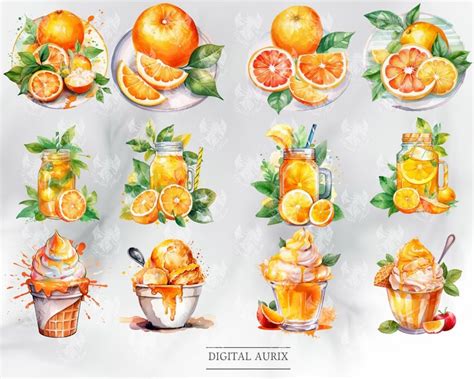 Watercolor Oranges Clipart Digital Png Oranges Pie Shortcake