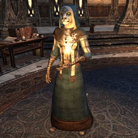 Online Student Mage The Unofficial Elder Scrolls Pages Uesp