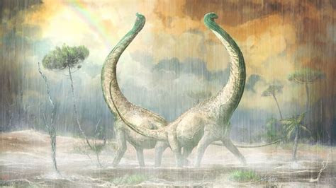 Newly Discovered Titanosaur Fossil Had A Heart Shaped Tail Cnn