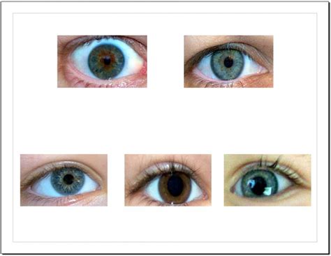 Behind These Hazel Eyes Adelaide City Optometrist Analyzing Eye Color Genetics Chart And What