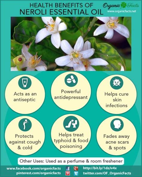 The Health Benefits Of Neroli Essential Oil Can Be Attributed To Its