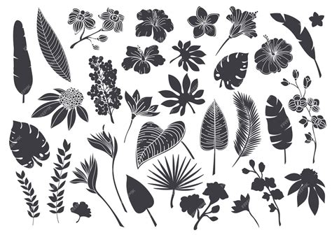 Premium Vector Silhouettes Tropical Leaves And Flowers Monochrome