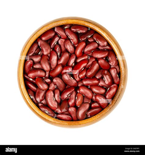 Bean Plant Phaseolus Common Bean Hi Res Stock Photography And Images