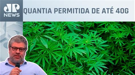 Descriminalização Do Porte De Maconha Começa A Valer Felippe Monteiro Comenta Youtube