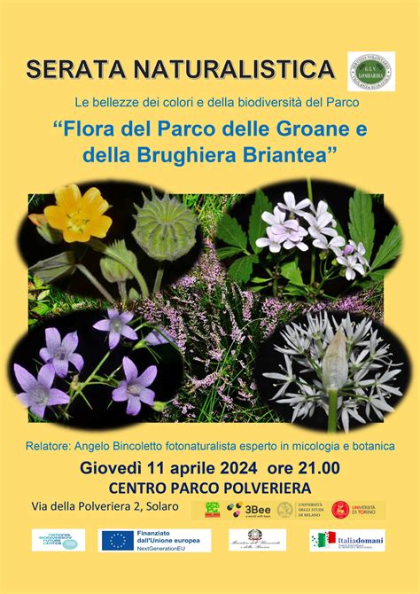 PARCO DELLE GROANE Serata Naturalistica FLORA DEL PARCO DELLE GROANE