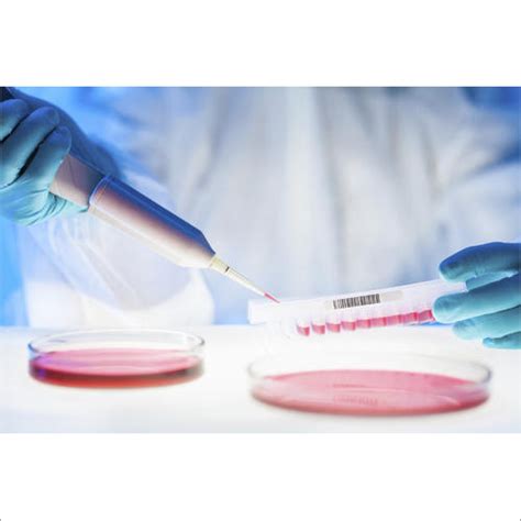 Microbiological Analysis Testing Services At Best Price In Surat