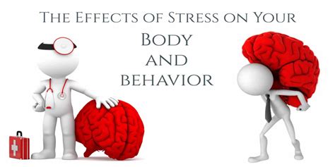 Effects Of Stress On Mind Body And Behavior