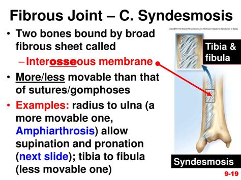 Ppt Chapter 9 Joints Powerpoint Presentation Free Download Id