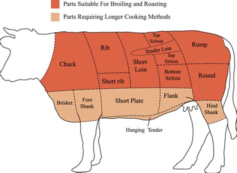 Beef Cuts Diagram Bonetti Meats