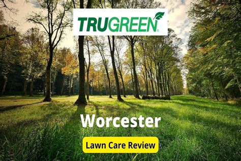 Trugreen Lawn Care In Worcester Review Lawnstarter