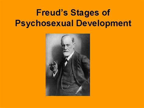 Freuds Stages Of Psychosexual Development Biography Notable Facts