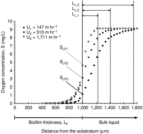 Comparison Of Measured Dissolved Oxygen Concentration Profiles Download Scientific Diagram