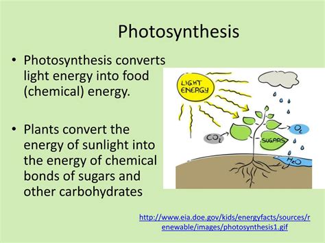 PPT - Photosynthesis and Energy for Life PowerPoint Presentation, free ...