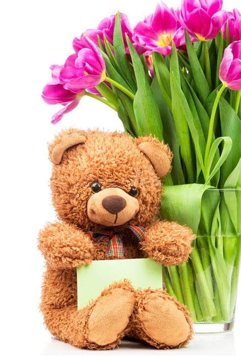 Tulips And Teddy Bear In T Bag Stock Image Image Of Bouquet Teddy