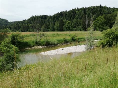 Leichte Wanderung Entlang Der T Ss Aktiv