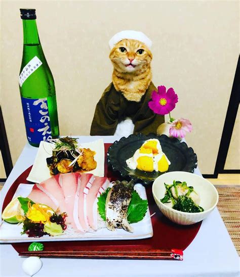 マロさんのインスタグラム写真 マロinstagram「🔸今日の献立〜todays Menu🔸 ブリのお刺身、炙りしめ鯖