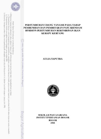 Pertumbuhan Udang Vaname Pada Tahap Pembenihan Dan Pembesaran