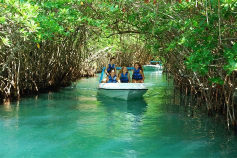 Tripadvisor Jungle Tour In Cancun Drive A Speedboat Through The