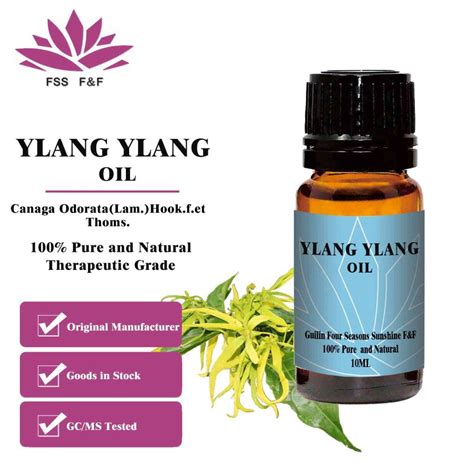 Pure Ylang Ylang Essential Oil Wholesale For Middle East Your Natural