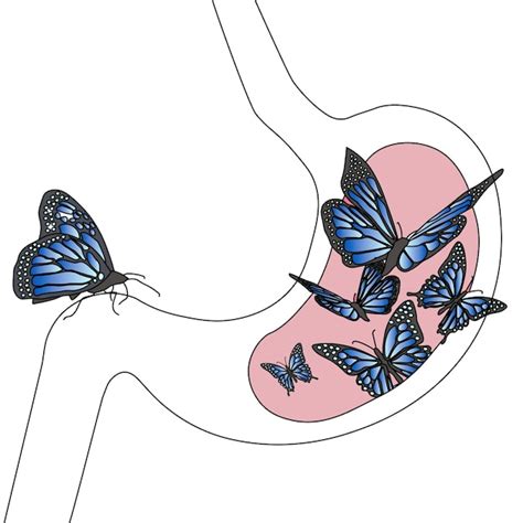 Vectores E Ilustraciones De Mujer Mariposa Para Descargar Gratis Freepik