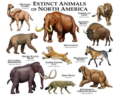 List Of Extinct Animals Examples And Forms