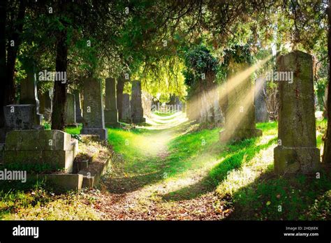 Cemetery Sunbeams Cemeteries Sun Beams Sun Ray Sun Rays Sunbeam