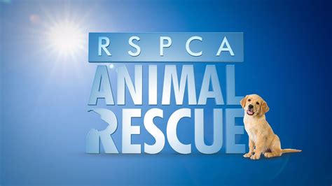 RSPCA Animal Rescue | 7plus