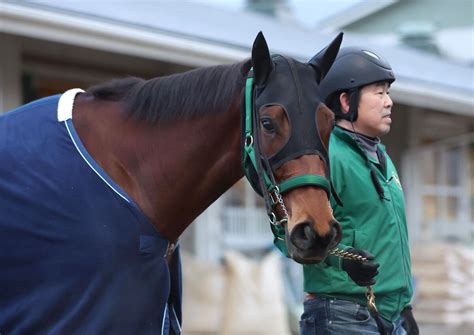 日曜東京競馬場の注目激走馬東京11r共同通信杯・g3 Umatoku 馬トク