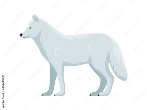 Vector arctic wolf Stock Vector | Adobe Stock