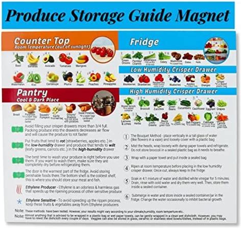 Amazon Produce Storage Guide Magnet How To Store Food Magnet For