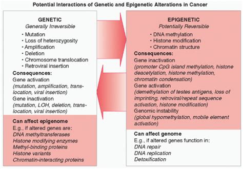 Epigenetic Changes In Lung Cancer Pathobiological And Clinical Aspects