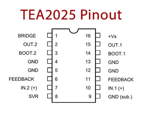 Amplifier Circuit Diagram