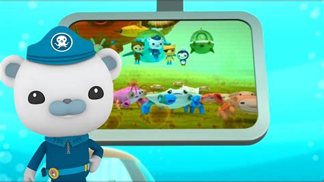 Octonauts radish dance octonauts creature report - litymondo