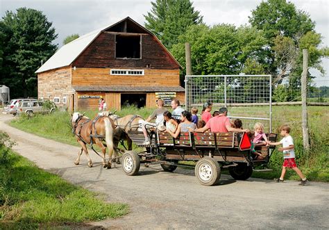 2010 Bradley Farm Festival and Fundraiser | Bradley Farm | Growing in New Paltz, NY Since 1995 ...