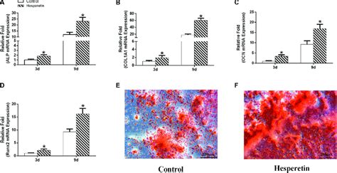 The Gene Expression Levels Of Alp Col1a1 Ocn And Runx2 In The